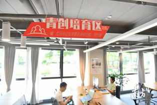 粵港上班族 興起 從西九龍到廣州南,香港80后坐高鐵來(lái)佛山創(chuàng)業(yè)